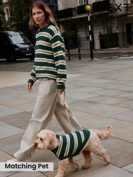 Green Stripe - Knitted Pet Jumper