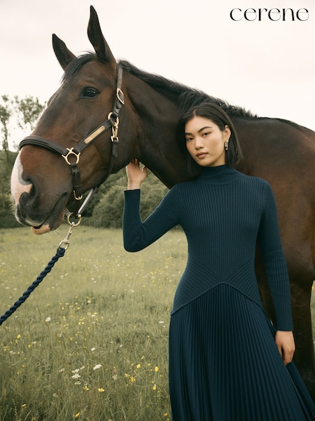 Navy - Cerene Long Sleeve Knit Bodice Pleated Skirt Dress