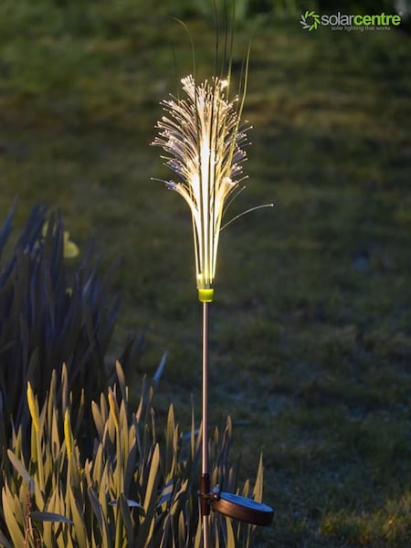 The Solar Centre Warm White Solar Reed Fibre Optic Light (W05536) | £15