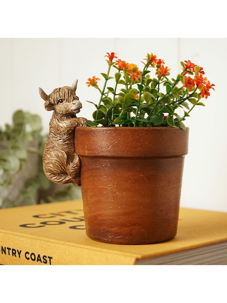 Widdop Brown Highland Cow Plant Pot (W08050) | £15