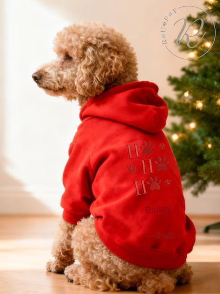 Ho Ho Ho Hoodie by RUFF (W12604) | £40