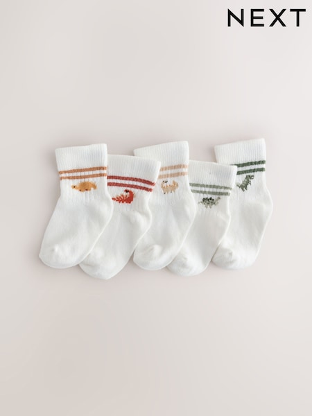 Dino Stripe - Socks 5 Pack