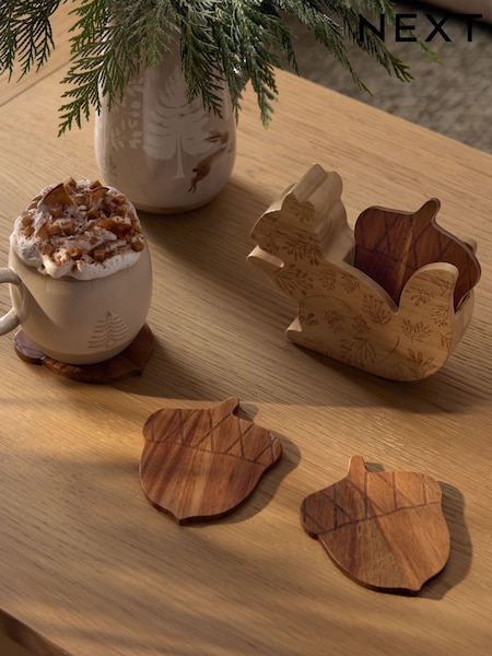 Set Of 4 Squirrel Wooden Coasters In Holder