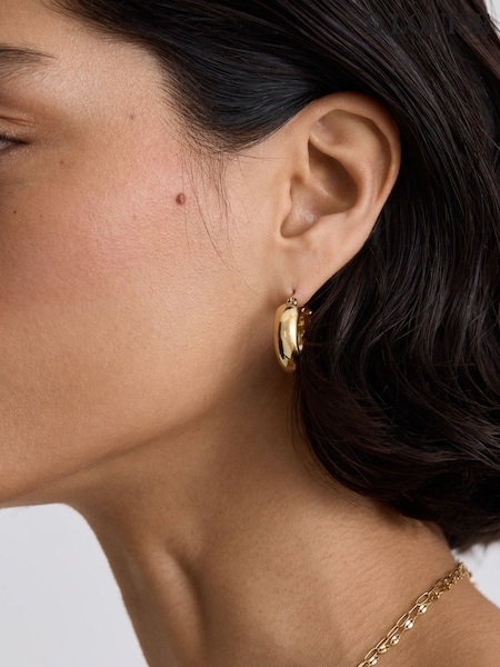 D.Louise Gold Tone Waterproof Bold Hoop Earrings (W15188) | £35