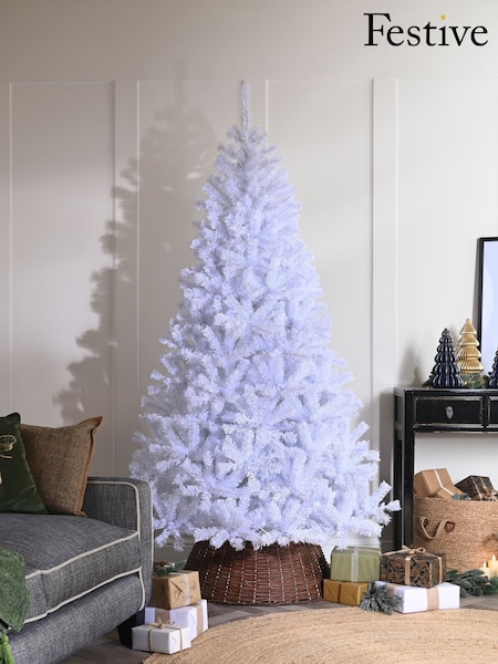 Festive No Colour Wentworth Fir Snowy 6ft Christmas Tree (W15874) | £100