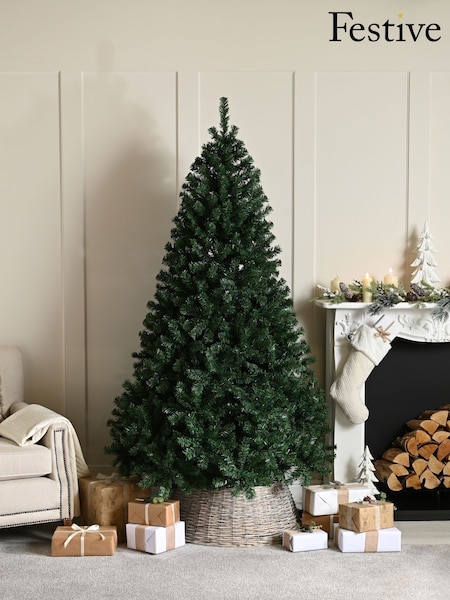 Festive Wentworth 6ft Fir Christmas Tree (W15896) | £100