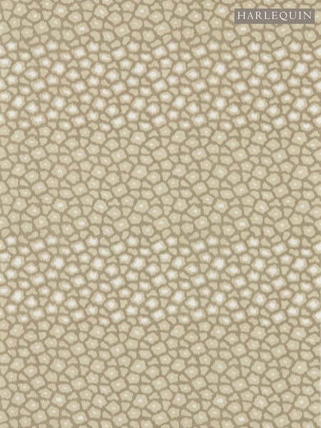 Harlequin Sandstone Loam Defined Momentum A4 Wallpaper Sample (W16788) | £1