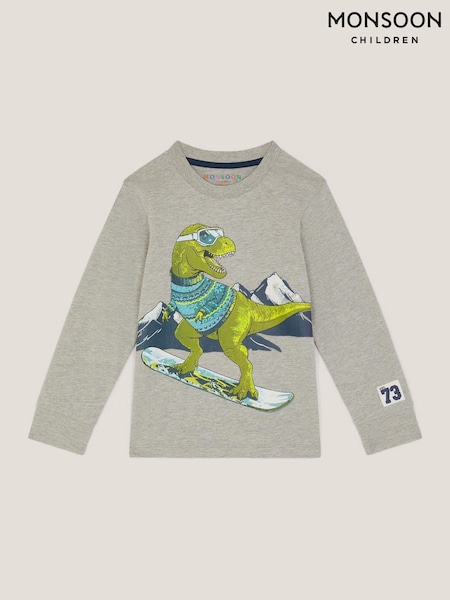 Monsoon Grey Snowboard Dinosaur Long Sleeve Top (W17423) | £17 - £19