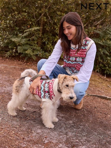 Red Blue Multi Fairisle Pattern Knitted Dog Jumper (W22600) | £18 - £26