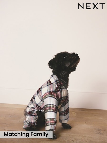 Cream Check Matching Family Christmas pet pyjamas (W23929) | £18