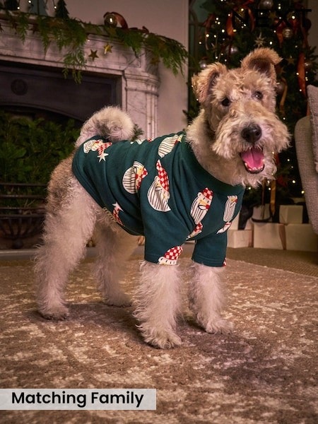 Green Santa Matching Family Christmas Cosy pet Pyjamas (W23945) | £14