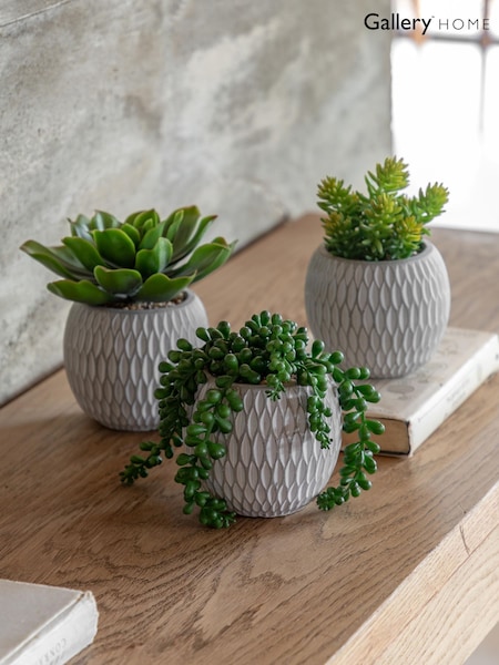 Gallery Home Set of 3 Natural Faux Small Succulents in Ceramic pots (W25205) | £28