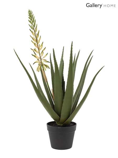 Gallery Home White Faux Aloe Potted Plant with Flower (W25207) | £70