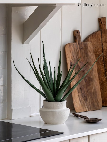 Gallery Home Natural Faux Aloe Vera in Ceramic Pot (W25210) | £54