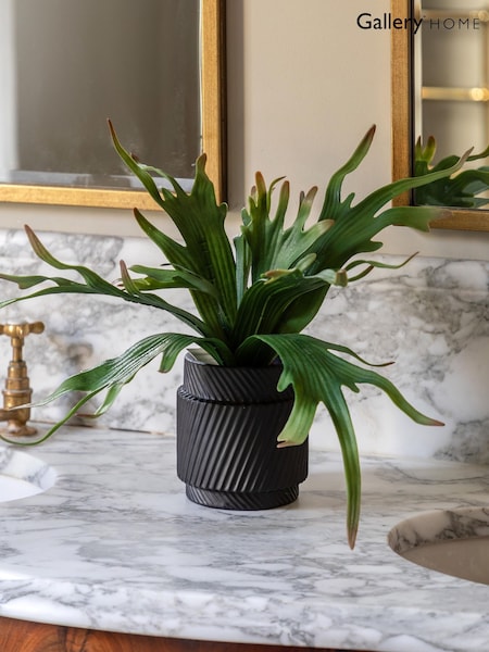 Gallery Home Multicoloured Faux Platycerium in Ceramic Pot (W25215) | £36