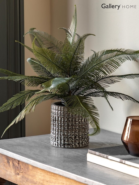 Gallery Home Grey Faux Wide Fern in Concrete Pot (W25222) | £28