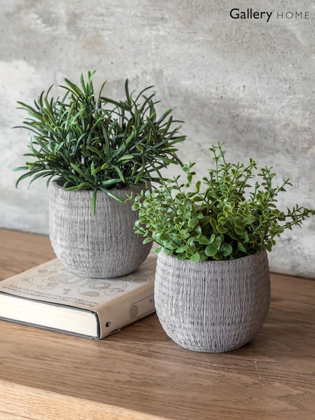 Gallery Home Set of 2 Natural Faux Potted Rosemary Plants (W25223) | £24