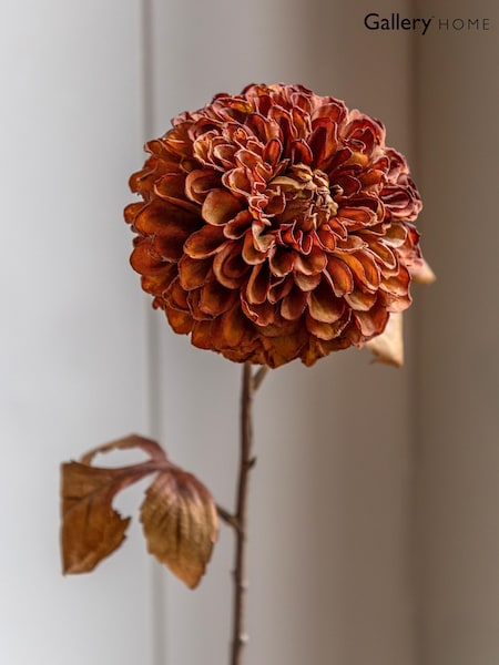 Gallery Home 6 Pack Burnt Orange Faux Stem Dahlias (W25228) | £36