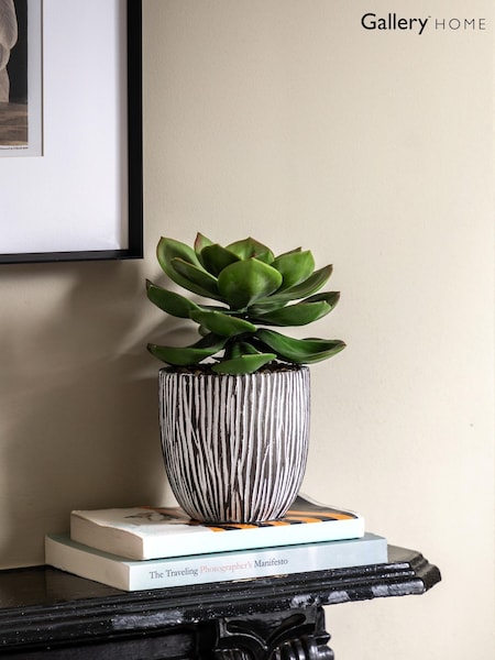 Gallery Home Black Faux Potted Succulent in Ribbed Ceramic Pot (W25297) | £16