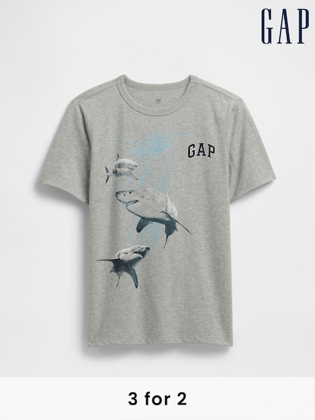 Gap Grey Vintage Graphic T-Shirt (4-13yrs) (W28362) | £10