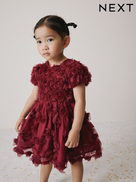 Berry Red 3D Flower Mesh Dress (3mths-8yrs) (W31369) | £26 - £32