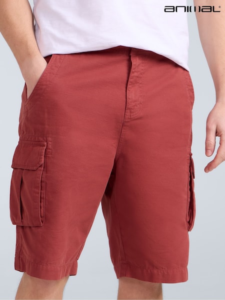 Animal Purple Mens Haze 100% Cotton Cargo Shorts (W33763) | £35