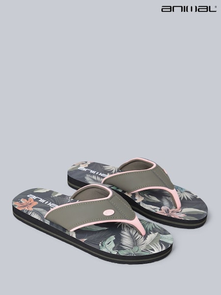 Animal Dusky Green Womens Swish Flip Flops (W33799) | £29