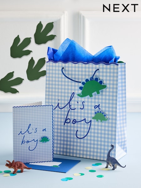 Blue Boys Gingham Medium Gift Bag and Card Set (W34995) | £4