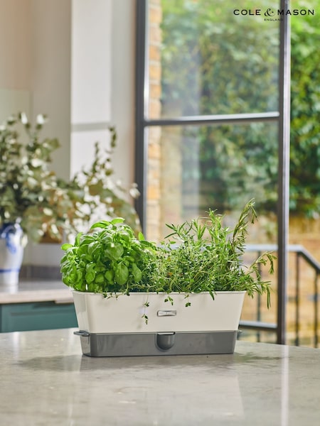 Cole & Mason White Grey Burwell Self-Watering Potted Herb Saver Triple Keeper (W48784) | £40