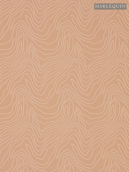 Harlequin Grounded Formation Reflect 110M Wallpaper (W49706) | £66