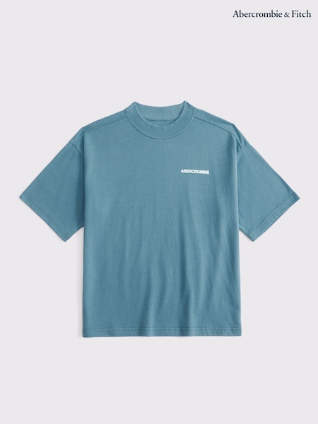 Abercrombie & Fitch Blue Imagery Logo Graphic Print T-Shirt (W51564) | £19