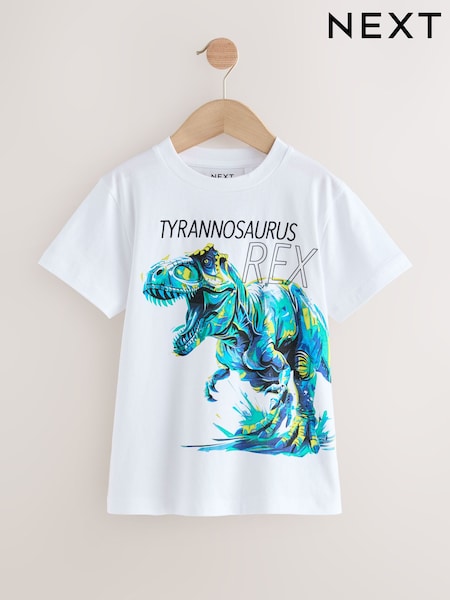 White/Blue Dino Regular Fit Short Sleeve Graphic Print T-Shirt (3-16yrs) (W56118) | £8 - £11