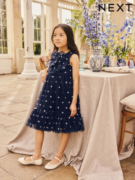 Navy Spot Flower Corsage Mesh Occasion Dress (3-16yrs) (W64273) | £20 - £26