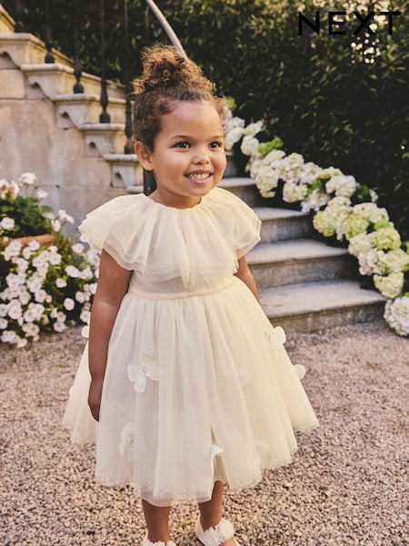 White Ruffle Collar Mesh Dress (3mths-7yrs) (W64418) | £21 - £25