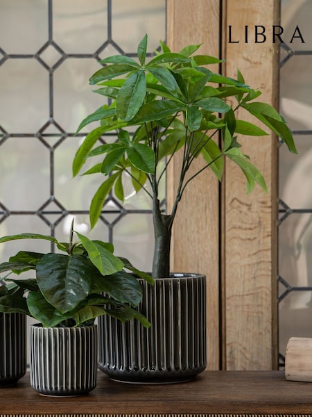 Libra Interiors Green Faux Pachira Money Plant (W66138) | £35
