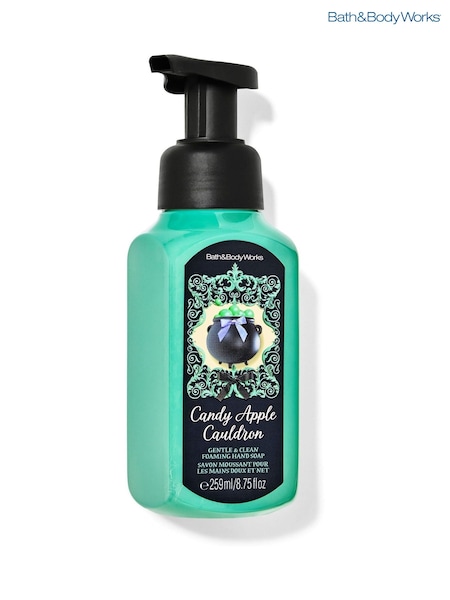 Bath & Body Works Foam Soap 259 ml (W77177) | £12
