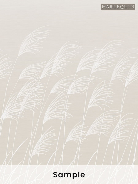 Harlequin Natural Miscanthus A4 Wallpaper Sample (W87049) | £1