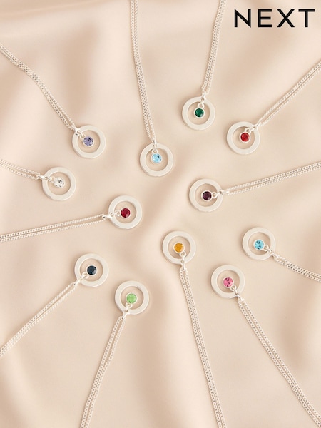 Silver Tone Birthstone Disc Drop Necklace (W94145) | £10