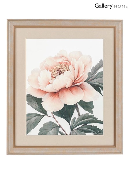 Gallery Home Multicoloured Peonys Gaze Framed Art (W96360) | £75