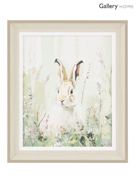 Gallery Home Multicoloured Binky's Bounce Framed Canvas (W96369) | £20