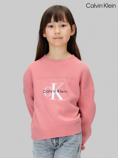 Calvin Klein Pink Logo Jumper (Y16747) | £65