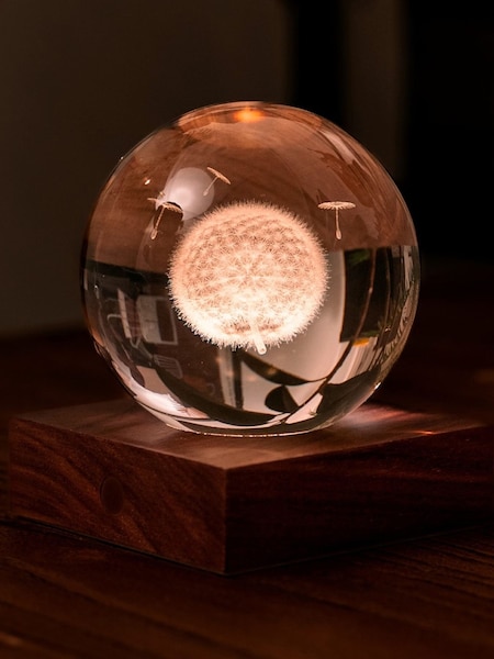 Gingko Walnut Amber Crystal Light with 3D Laser Dandelion (Y17574) | £45