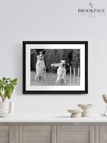 Brookpace Lascelles BlackWhite Hand made in UK 'Cricket in the Park' Wall Art in A Stylish Gloss Finish Studio Frame  50 X 40cm (Y21862) | £130