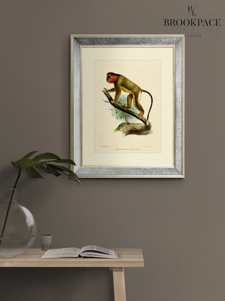 Brookpace Lascelles Cream Mirror Hand Made in UK 'Primate IV' Wall Art in Antique Gold Toned Mirrored Frame  40 x 50cm Wall Art (Y21868) | £150