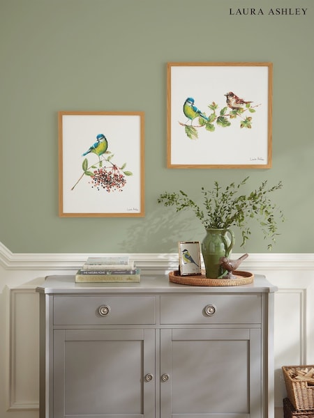 Blue Sparrow & Blue Tit Bird 53 x 53 cm Wood Frame (Y26883) | £80