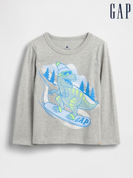 Gap Grey Graphic T-Shirt (6mths-5yrs) (Y28766) | £10