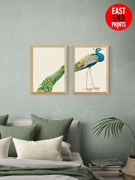 East End Prints Set of 2 Oak Peacock Print Wall Art by Natural History Museum (Y33523) | £170