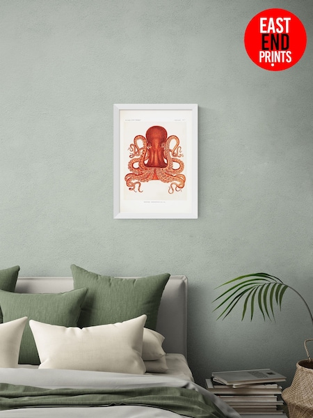 East End Prints White Octopus Wall Art Print by Natural History Museum (Y33532) | £60 - £85