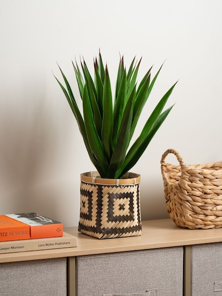 Scottish Everlastings Ltd Green Artificial Aloe in Basket (Y35631) | £28