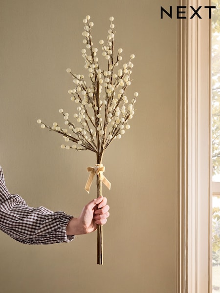 Berry (3 Stems)